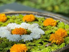 -四季酒店下午茶