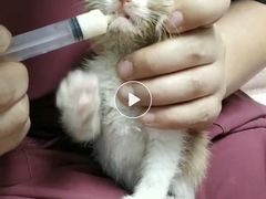 -宠颐生中康贝怡动物医院