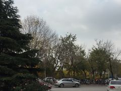 -老陶包子铺(南大西南村店)