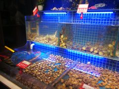 水产区-必点海鲜·鲅鱼水饺(鞍山西道店)