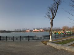 -上海长兴岛郊野公园