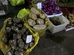 -三亚新鸿港水果一级批发市场