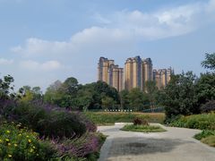-府河摄影公园