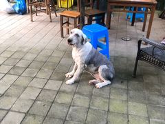 -张鸟园农家乐(张鸟园店)