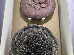 -北京中医药大学-中医药博物馆