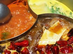 -青瓷火锅料理(西单大悦城店)