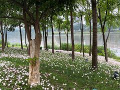 -眉山湿地公园(东坡区)