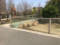 -太湖龙之梦