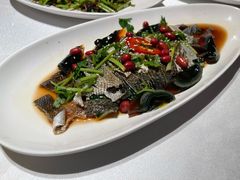 凉拌青瓜鱼皮-炳胜品味(海印总店)