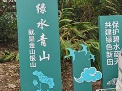 -立新湖公园