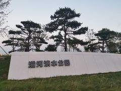 -灞河西岸滨河公园