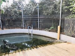 -呀路古热带植物园