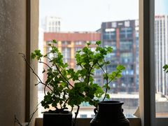 -帝京日语(春熙路旗舰校区)