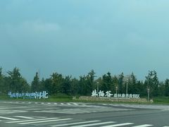 -林栖谷森林康养度假区