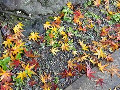 -天王寺公园