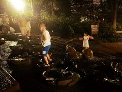 -成都市活水公园