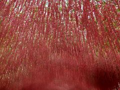 -郑州方特梦幻王国