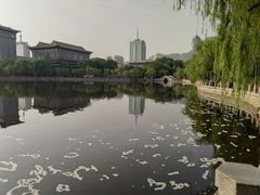 -文瀛公园