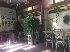 -百好乐宠物友好餐厅(朝外大街店)