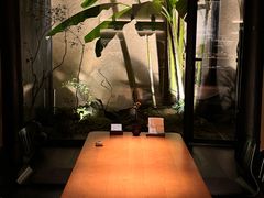 -觀芷隐轩