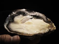-囧吉香生蚝牛排馆(湖北路店)