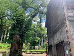 -上坦村