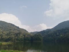 -广州市石门国家森林公园