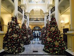 -Salon de Ville浦江汇(上海外滩华尔道夫酒店店)