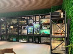 -朵云书院(滴水湖店)