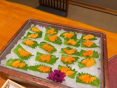 -月龍吟(朝龙汇店)