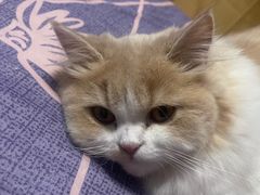 -悠尼宠物·独立低压伊珊娜洗护·美容·寄养(兰谷路店)