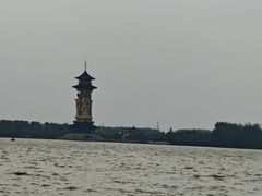 -溱湖国家湿地公园