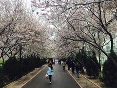 -山东师范大学(千佛山校区)