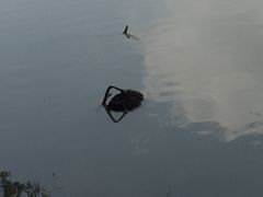 -清晏园