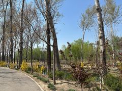 -东郊湿地公园