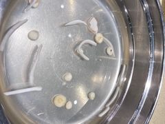 -煲大王猪肚鸡·椰子鸡火锅(红谷滩万达店)