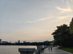 -海珠湖公园