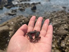 -银沙滩浴场