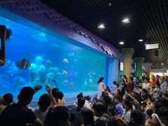 -梦幻海洋王国(吾悦广场张家港店)