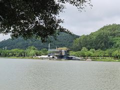 -顺峰山公园
