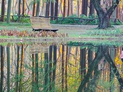 -上海共青森林公园