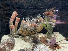 -长沙海底世界