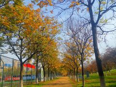 -大明宫国家遗址公园·御道广场