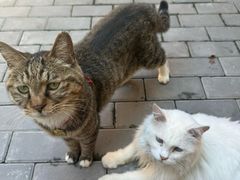 -创艺无限·赵春香微妙艺术馆