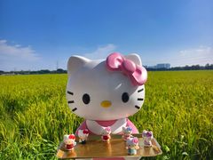 -麦当劳(容桂客运站得来速店)