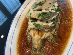 清蒸桂鱼-锡和无锡菜(景丽苑店)