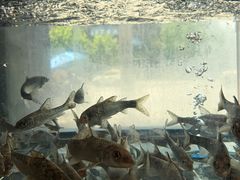 -湘轩·土菜研究院(光大店)
