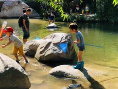 -碓臼峪自然风景区