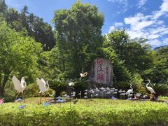 -广州白江湖森林公园