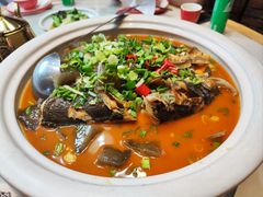 -陈厨老家菜馆(新苑店)